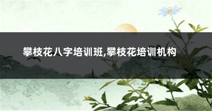 攀枝花八字培训班,攀枝花培训机构