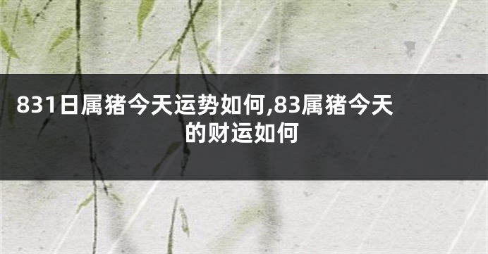 831日属猪今天运势如何,83属猪今天的财运如何