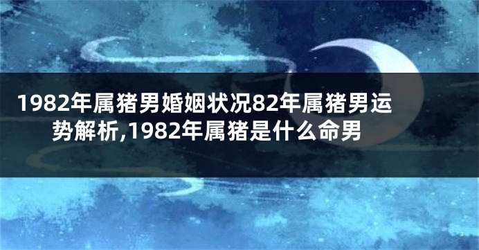 1982年属猪男婚姻状况82年属猪男运势解析,1982年属猪是什么命男