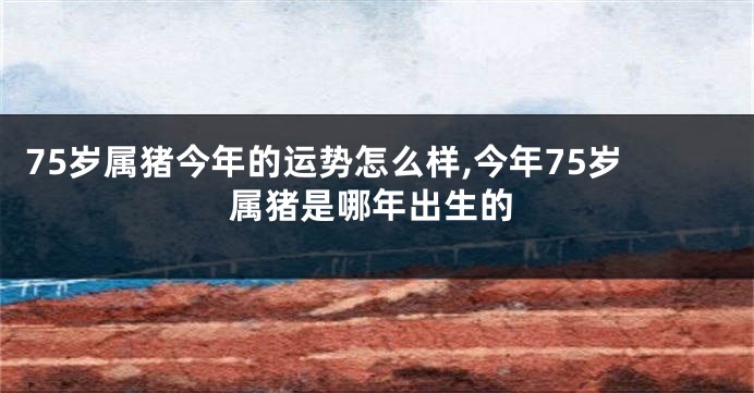 75岁属猪今年的运势怎么样,今年75岁属猪是哪年出生的