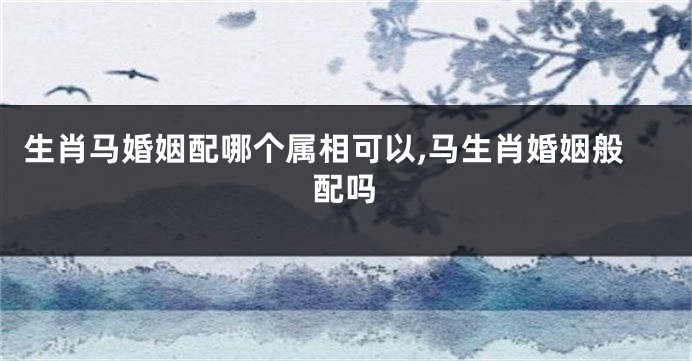 生肖马婚姻配哪个属相可以,马生肖婚姻般配吗