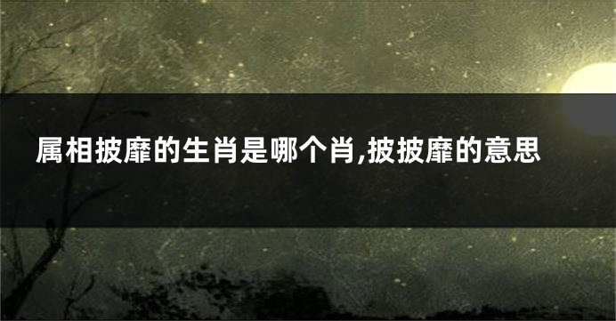 属相披靡的生肖是哪个肖,披披靡的意思