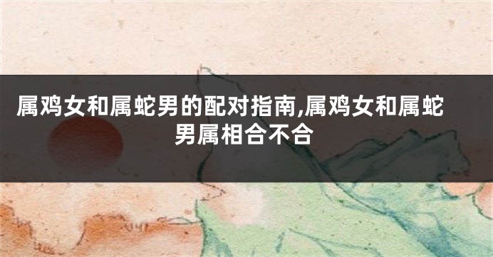 属鸡女和属蛇男的配对指南,属鸡女和属蛇男属相合不合