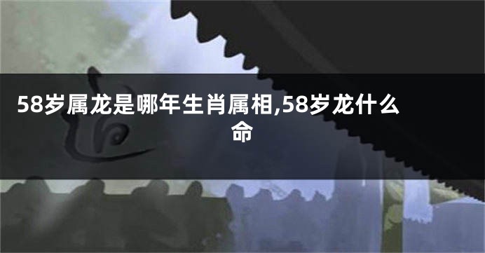 58岁属龙是哪年生肖属相,58岁龙什么命