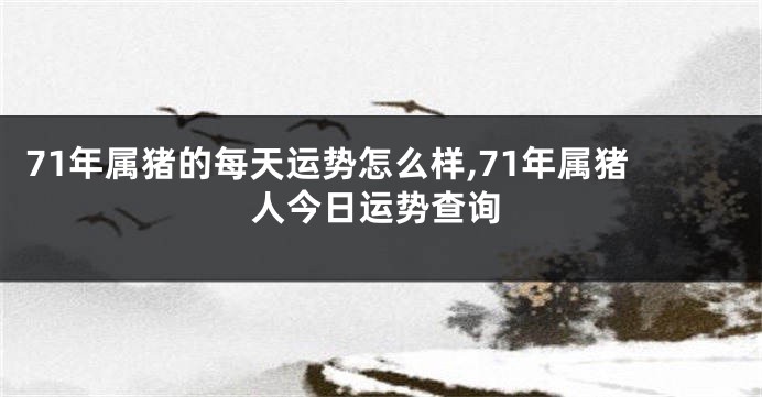 71年属猪的每天运势怎么样,71年属猪人今日运势查询