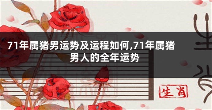 71年属猪男运势及运程如何,71年属猪男人的全年运势