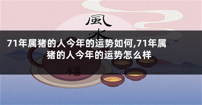 71年属猪的人今年的运势如何,71年属猪的人今年的运势怎么样