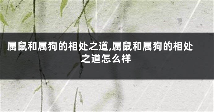 属鼠和属狗的相处之道,属鼠和属狗的相处之道怎么样
