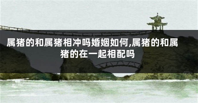 属猪的和属猪相冲吗婚姻如何,属猪的和属猪的在一起相配吗