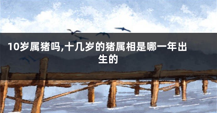 10岁属猪吗,十几岁的猪属相是哪一年出生的