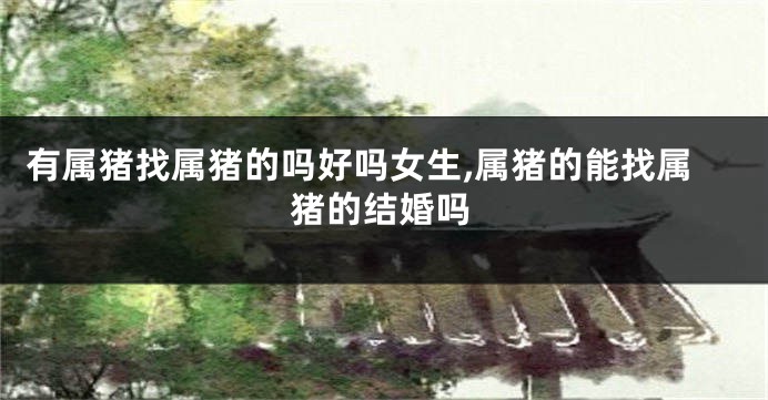 有属猪找属猪的吗好吗女生,属猪的能找属猪的结婚吗