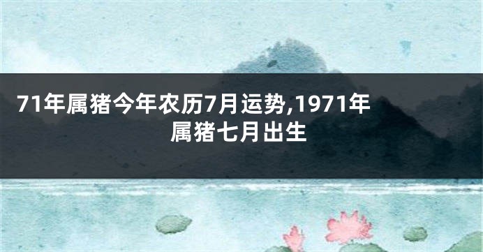 71年属猪今年农历7月运势,1971年属猪七月出生