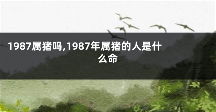 1987属猪吗,1987年属猪的人是什么命