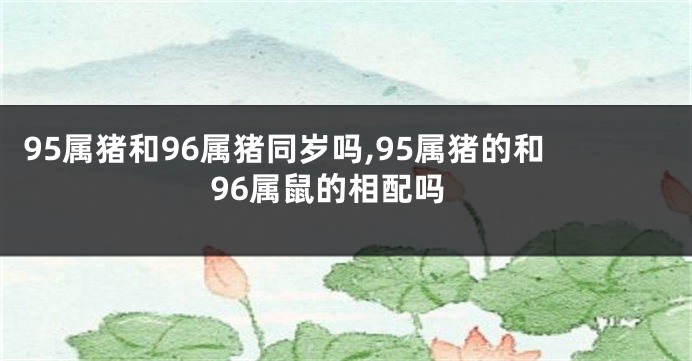 95属猪和96属猪同岁吗,95属猪的和96属鼠的相配吗