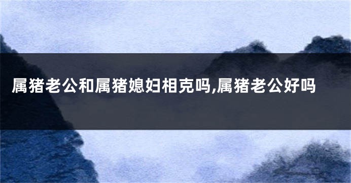 属猪老公和属猪媳妇相克吗,属猪老公好吗