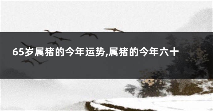 65岁属猪的今年运势,属猪的今年六十
