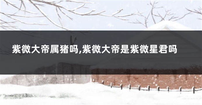 紫微大帝属猪吗,紫微大帝是紫微星君吗