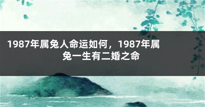 1987年属兔人命运如何，1987年属兔一生有二婚之命