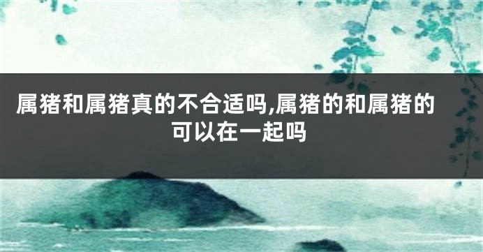 属猪和属猪真的不合适吗,属猪的和属猪的可以在一起吗
