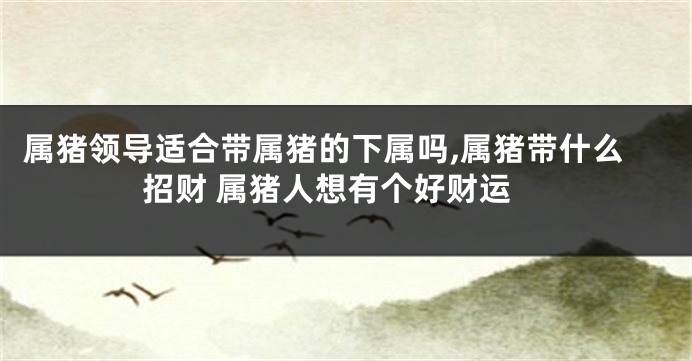 属猪领导适合带属猪的下属吗,属猪带什么招财 属猪人想有个好财运
