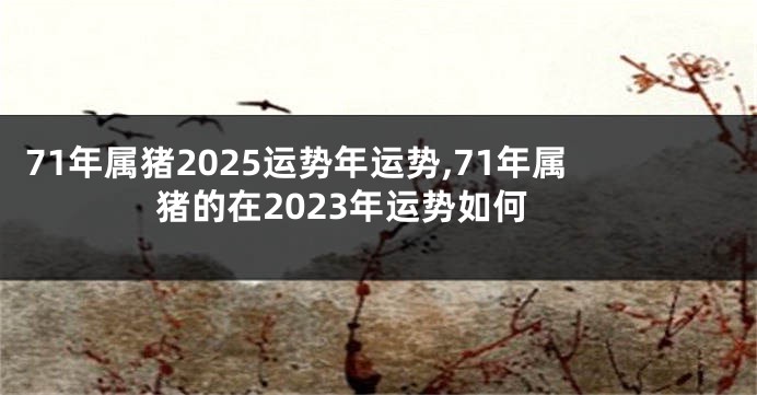 71年属猪2025运势年运势,71年属猪的在2023年运势如何