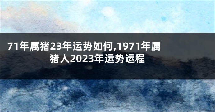 71年属猪23年运势如何,1971年属猪人2023年运势运程