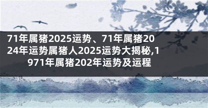 71年属猪2025运势、71年属猪2024年运势属猪人2025运势大揭秘,1971年属猪202年运势及运程
