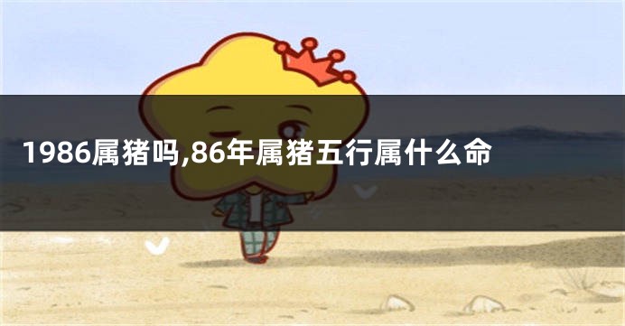 1986属猪吗,86年属猪五行属什么命