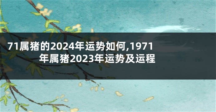 71属猪的2024年运势如何,1971年属猪2023年运势及运程