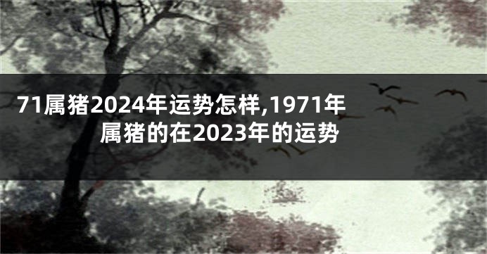 71属猪2024年运势怎样,1971年属猪的在2023年的运势