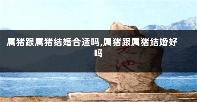 属猪跟属猪结婚合适吗,属猪跟属猪结婚好吗