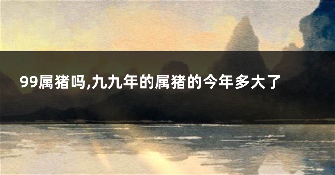 99属猪吗,九九年的属猪的今年多大了