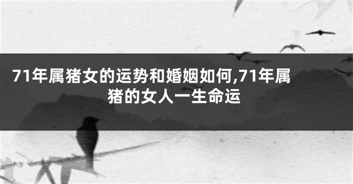 71年属猪女的运势和婚姻如何,71年属猪的女人一生命运