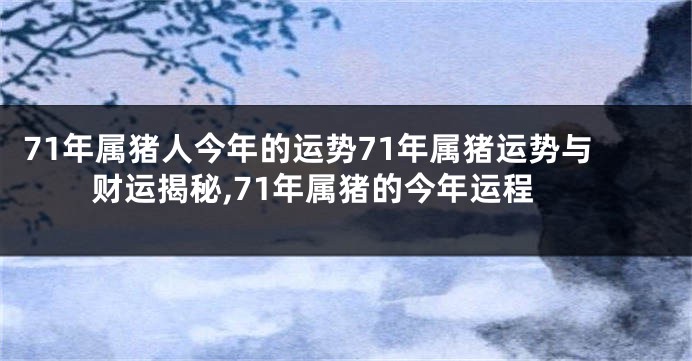 71年属猪人今年的运势71年属猪运势与财运揭秘,71年属猪的今年运程