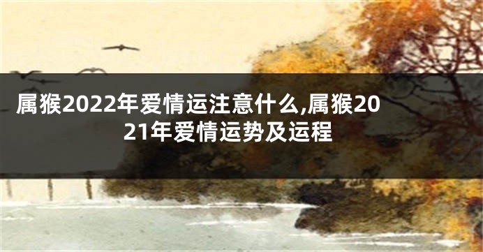 属猴2022年爱情运注意什么,属猴2021年爱情运势及运程