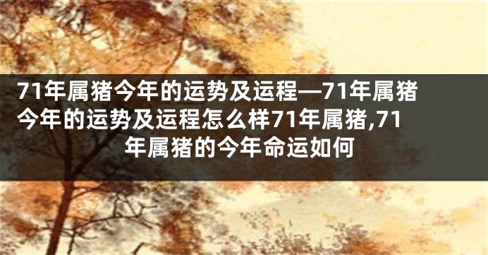71年属猪今年的运势及运程—71年属猪今年的运势及运程怎么样71年属猪,71年属猪的今年命运如何