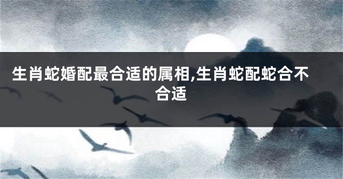 生肖蛇婚配最合适的属相,生肖蛇配蛇合不合适