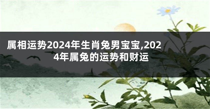 属相运势2024年生肖兔男宝宝,2024年属兔的运势和财运