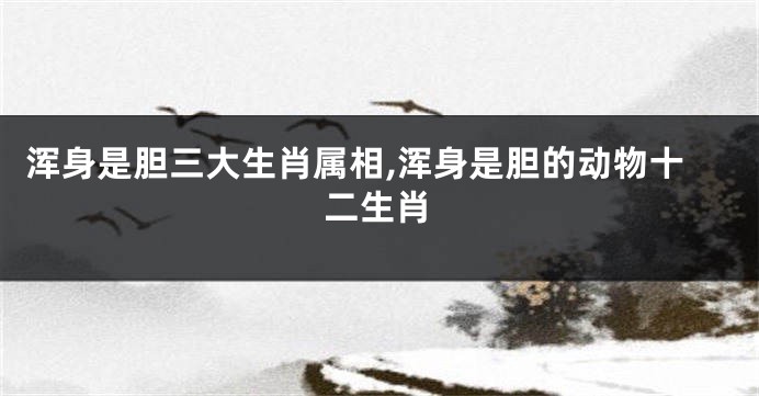 浑身是胆三大生肖属相,浑身是胆的动物十二生肖