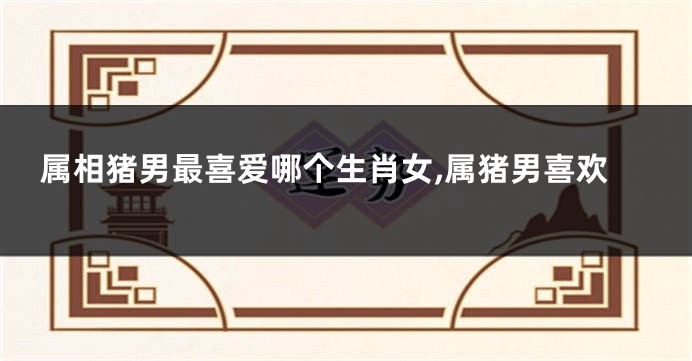 属相猪男最喜爱哪个生肖女,属猪男喜欢