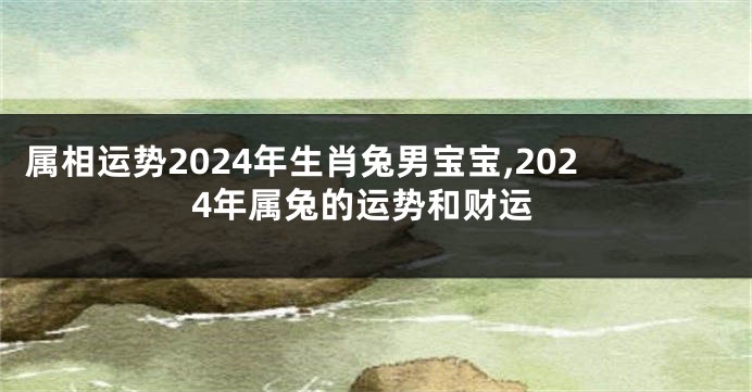 属相运势2024年生肖兔男宝宝,2024年属兔的运势和财运