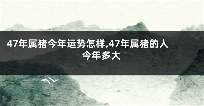 47年属猪今年运势怎样,47年属猪的人今年多大