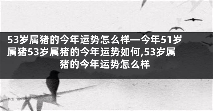 53岁属猪的今年运势怎么样—今年51岁属猪53岁属猪的今年运势如何,53岁属猪的今年运势怎么样