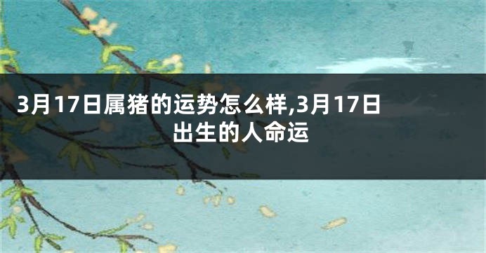 3月17日属猪的运势怎么样,3月17日出生的人命运