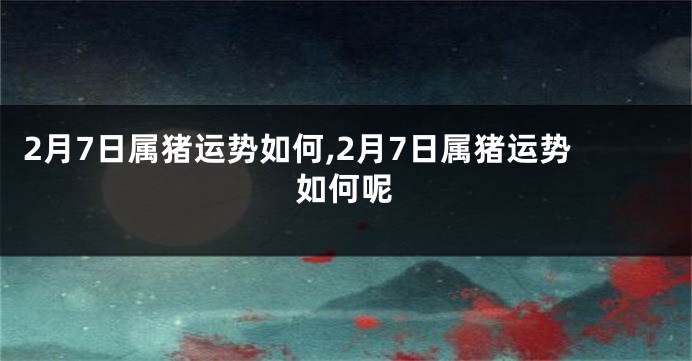 2月7日属猪运势如何,2月7日属猪运势如何呢