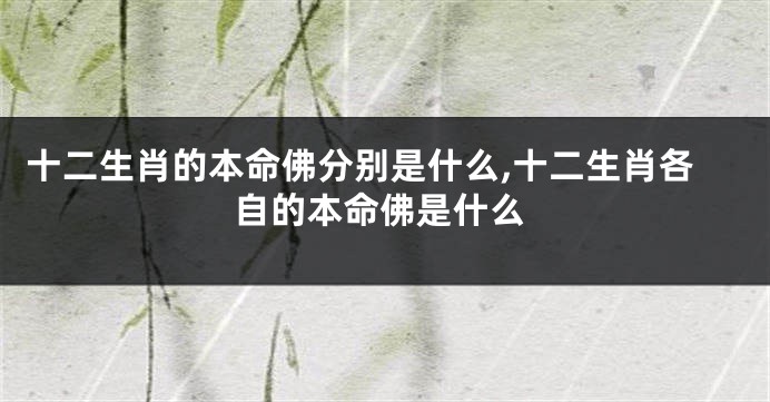 十二生肖的本命佛分别是什么,十二生肖各自的本命佛是什么