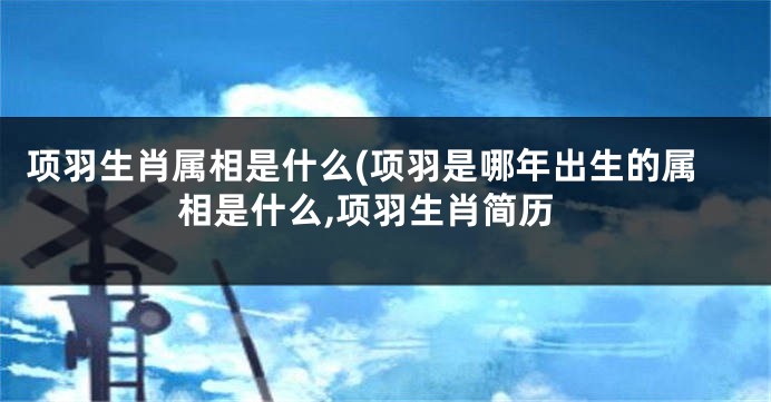 项羽生肖属相是什么(项羽是哪年出生的属相是什么,项羽生肖简历