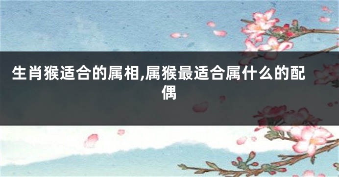 生肖猴适合的属相,属猴最适合属什么的配偶