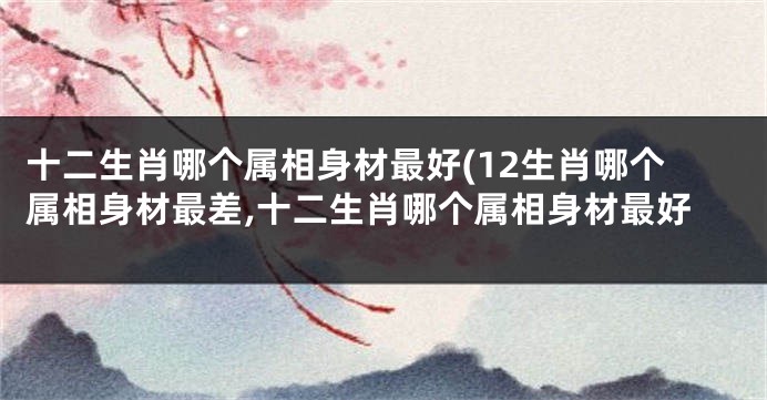 十二生肖哪个属相身材最好(12生肖哪个属相身材最差,十二生肖哪个属相身材最好