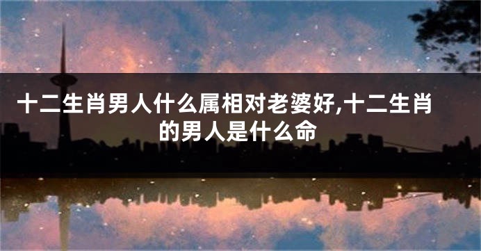 十二生肖男人什么属相对老婆好,十二生肖的男人是什么命